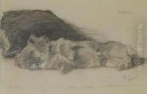 'susan': A Restingdog by Cecil Charles Aldin