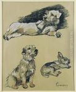 Perros by Cecil Charles Aldin