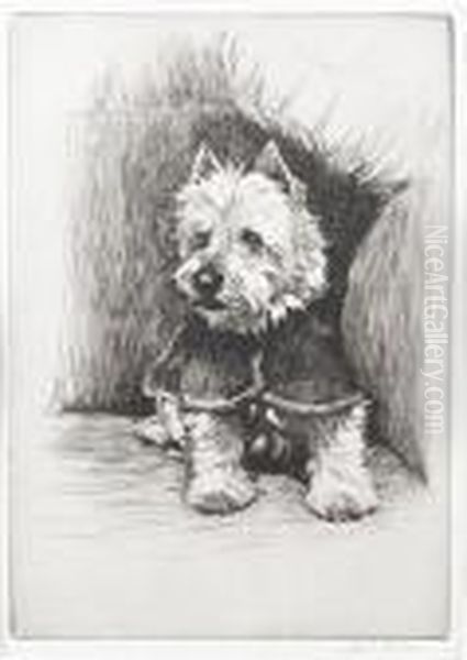 West Highland Terrier - view 1