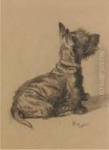 A Scottie by Cecil Charles Aldin