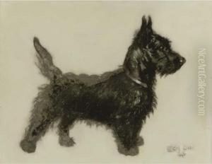 A Little Scottie by Cecil Charles Aldin