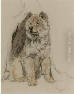 Study Of A Chow Chow Study Of A Chow Chow