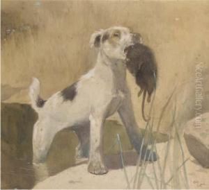 Country Dog; And Town Dog by Cecil Charles Aldin