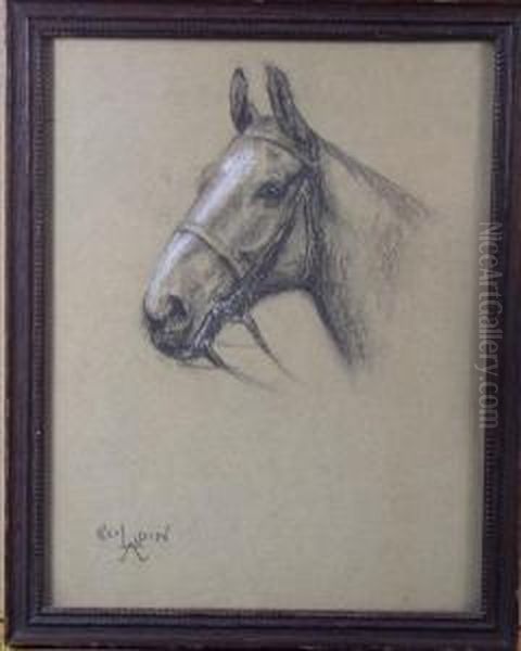 Portrait Of Horse'shead - view 1