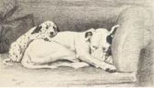 I'm Not Your Father by Cecil Charles Aldin