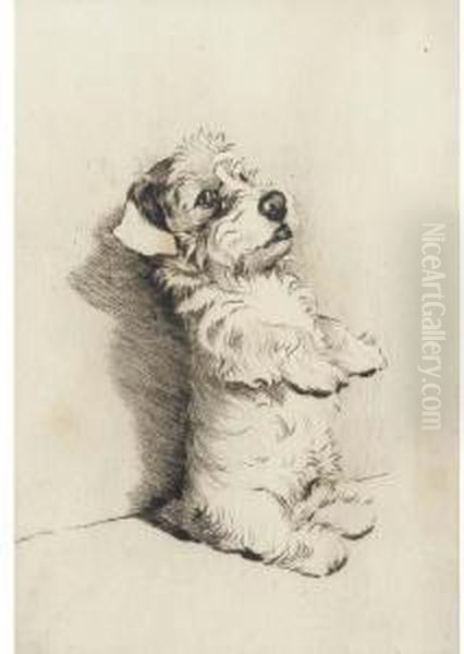Begging For A Treat - view 1