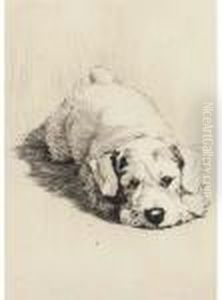 A Sealyham Puppy by Cecil Charles Aldin