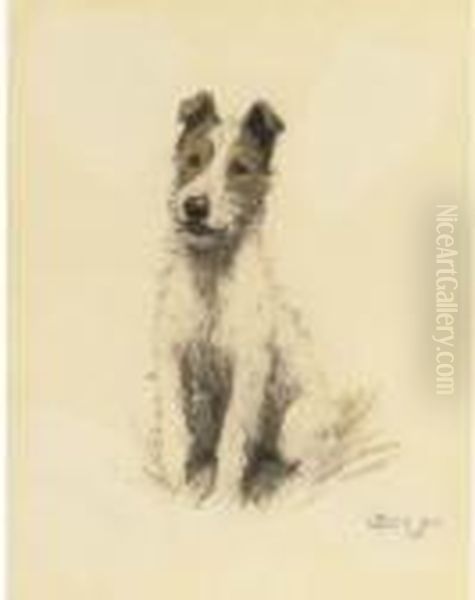 A Wire Haired Fox Terrier - view 1