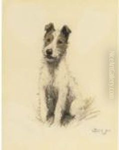 A Wire Haired Fox Terrier by Cecil Charles Aldin