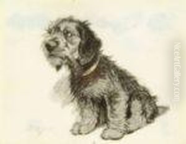 Studyof A Terrier - view 1