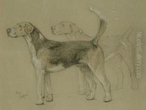 Study Of Hounds