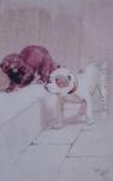 Cat And Bulldog - view 1