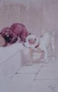 Cat And Bulldog by Cecil Charles Aldin