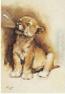 Zoo Study (lionceau Tetant) by Cecil Charles Aldin