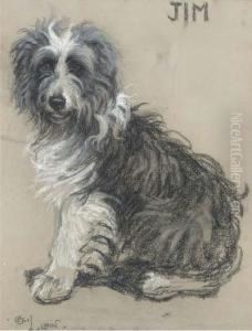 Jim, A Bearded Collie by Cecil Charles Aldin