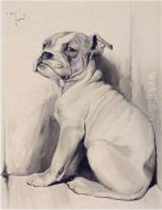 A Boxer Pup by Cecil Charles Aldin