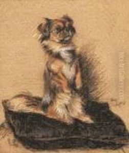 A Pekingese Seated On A Cushion