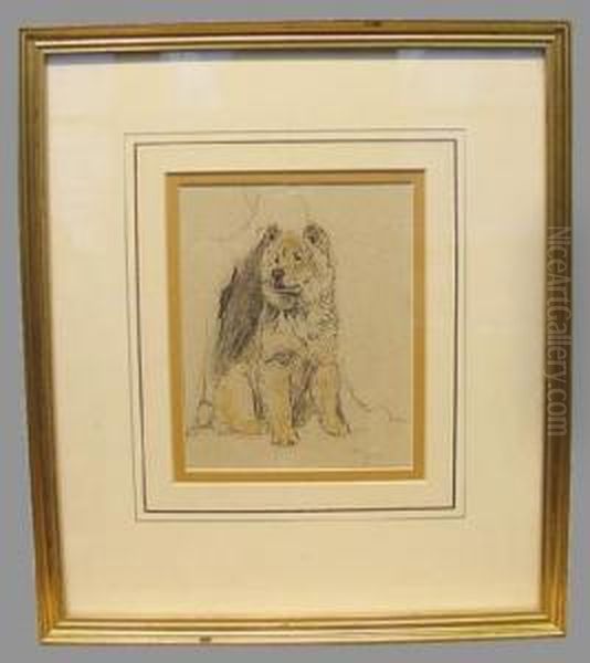 Portrait Of A Chow - view 1