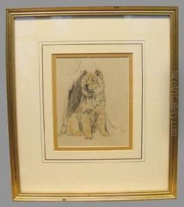 Portrait Of A Chow by Cecil Charles Aldin