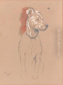Study Of A Terrier by Cecil Charles Aldin