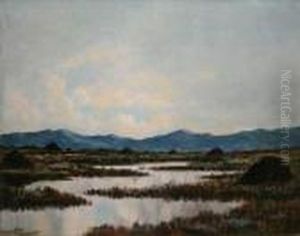 Flooded Boglands, Connemara by Douglas Alexander