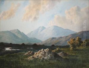 Mamm, Connemara by Douglas Alexander