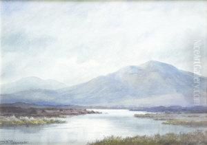 Morning Light, Near Recess, Connemara by Douglas Alexander