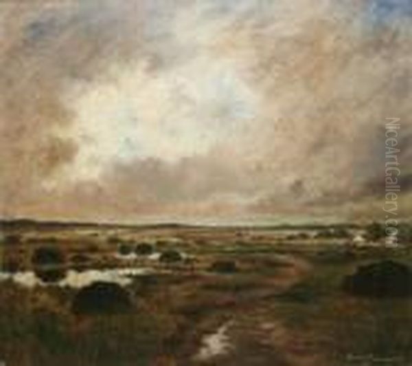 Boglands, Co. Galway - view 1