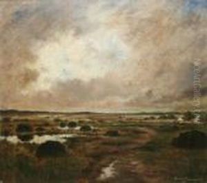 Boglands, Co. Galway