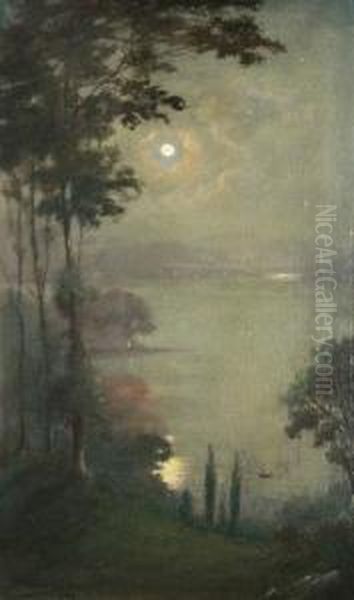 Moonlight - view 1