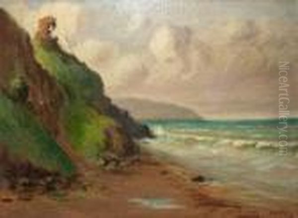 Beach Scene, West Of Ireland - view 1