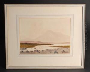 Irish Countryside by Douglas Alexander