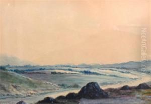 The Road To Doo Lough, Connemara, Ireland by Douglas Alexander