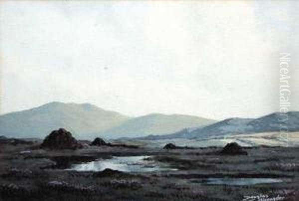 Bogland, Connemara - view 1