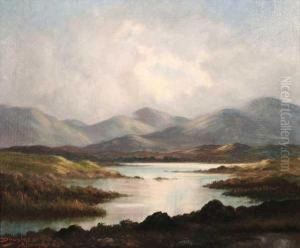 Among The Connemara Mountains
