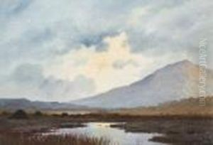 Among The Connemara Mountains