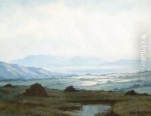 Near Oughterard, Carrick In The Background