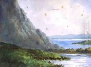 Mountain Lake Landscape