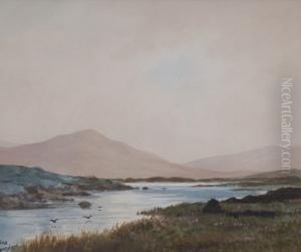 Bog Stream Near Lough Alton Co Donegal - view 1