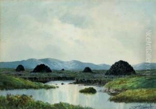 Boglands, Co. Donegal - view 1