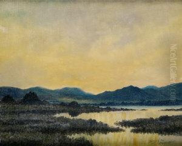 Bogland, Connemara - view 1