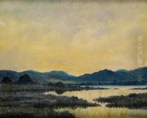 Bogland, Connemara by Douglas Alexander