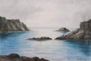 Rocky Coastal Waters by Douglas Alexander