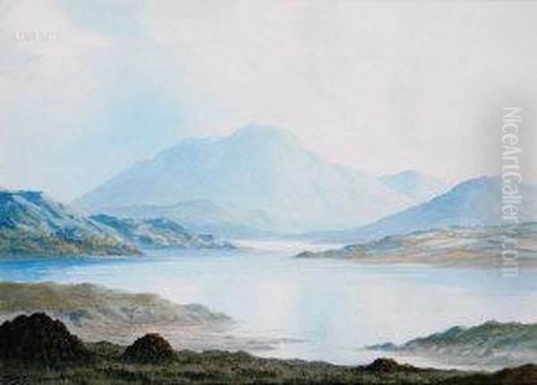Near Ballinahinch, Connemara - view 1