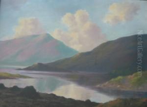 At Ballinahinch, Connemara by Douglas Alexander