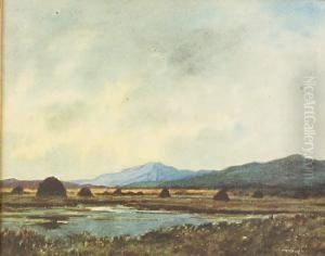 Turf Stacks In Bog Landscape