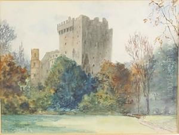 Blackrock Castle, Cork - view 1