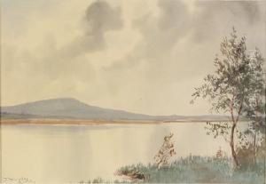 Lake View by Douglas Alexander