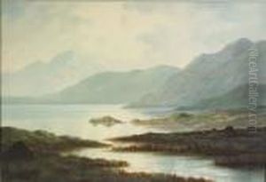 Bog And Mountain