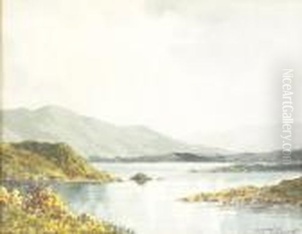 An Inlet On Lough Corrib - view 1